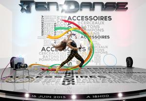 Affiche-2013-v6.jpg